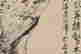 item-132060086=5