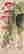 item-132060253=8