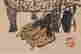 item-132060256=9