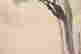 item-132060260=4