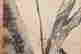 item-132060260=6