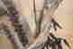 item-132060260=7