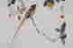 item-132060271=5