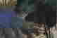 item-132060273=5