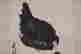 item-132060288=3