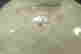 item-135857709=8