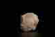 item-135857746=7