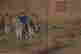 item-135858262=6