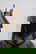 item-201506077=4
