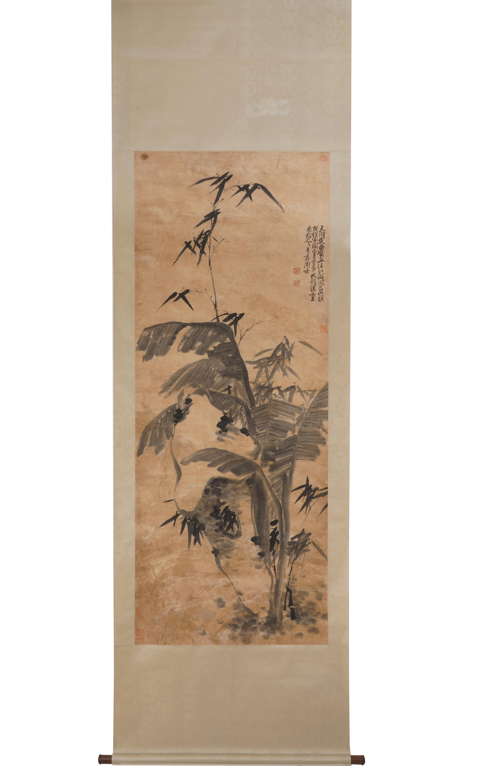 A CHINESE INK BANANA AND BAMBOO PAINTING, SIGNED XU WEI: A CHINESE INK BANANA AND BAMBOO PAINTING, SIGNED XU WEI Ink on paper, hanging scroll. This monochromatic work exemplifies Xu Wei's iconic freehand style, depicting banana leaves, bamboo stalks, and a