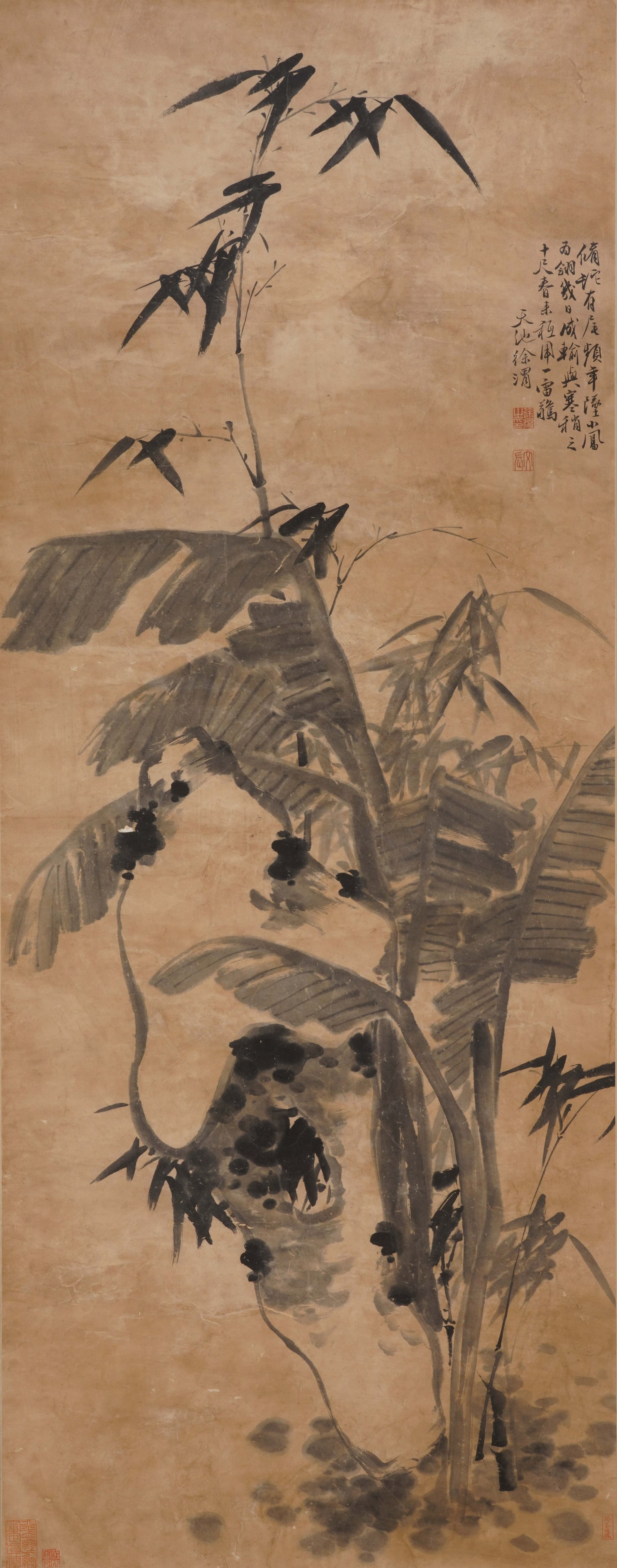A CHINESE PAINTING OF BANANA AND BAMBOO, SIGNED XU WEI: A CHINESE PAINTING OF BANANA AND BAMBOO, SIGNED XU WEI Ink on paper, hanging scroll. This expressive work exemplifies Xu Wei's iconic "freehand? style, depicting banana leaves and bamboo in bold,