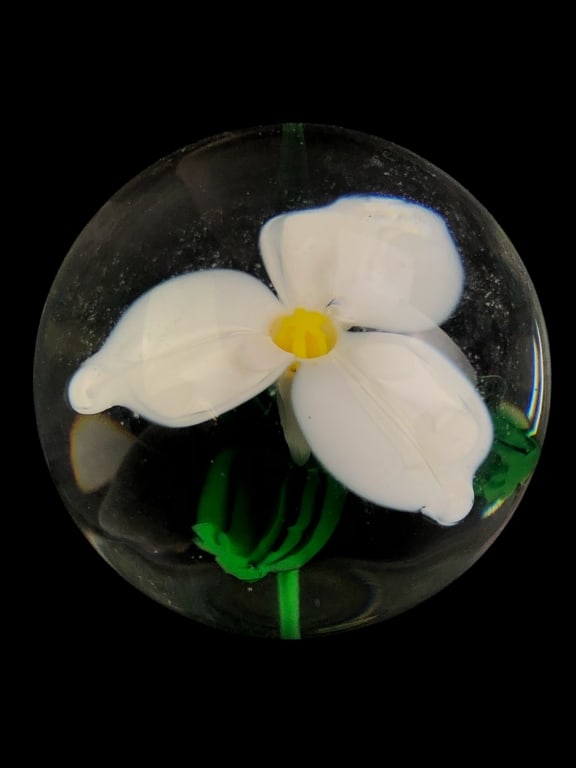 Harry Boyer Signed Art Glass Paperweight (1 of 5)