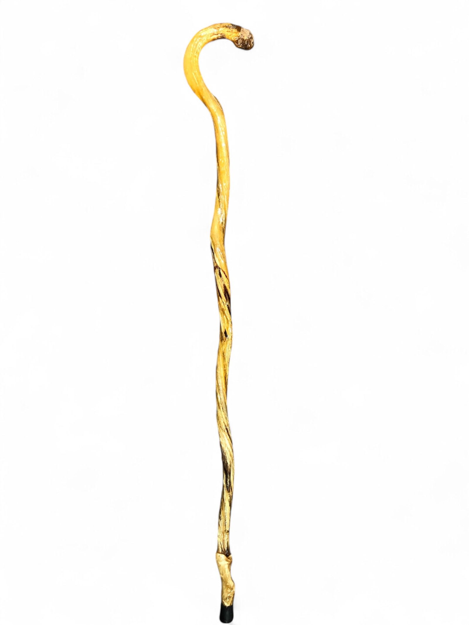 Authentic Bull Organ Walking Cane: 39 1/4" total