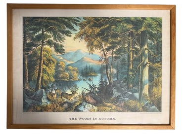 The Woods In Autumn Framed Print