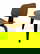 item-209311492=1