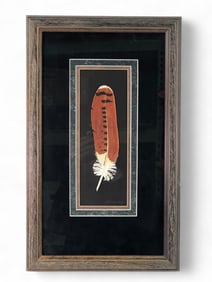 Framed Redtail Hawk Feather Artwork