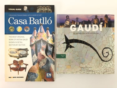 2 Antoni Gaudi Paperback Books