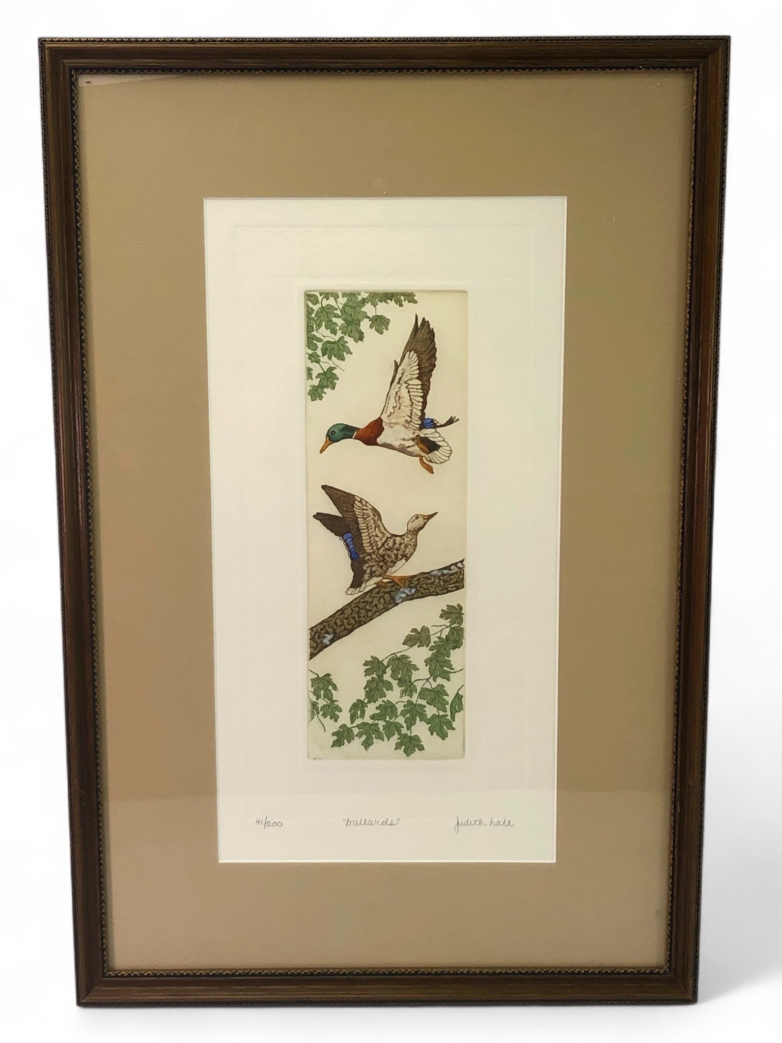 Judith Hall Hand-Colored Etching (1 of 9)