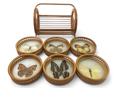 Vtg Butterfly Taxidermy Bamboo Coasters Set