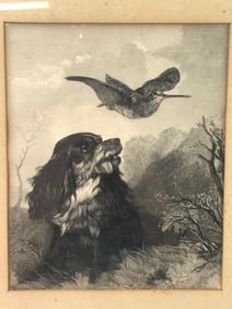 Richard Ansdell Dog And Bird Etching