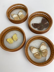 Vintage Taxidermied Butterfly Bamboo Coaster Set