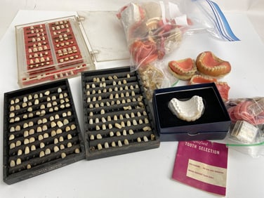 Vintage Bridge And Crown Dental Models