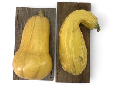 Carol C Cline Butternut And Yellow Squash Art