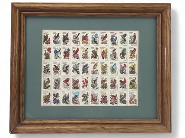 Framed 50-State Birds Stamp Sheet