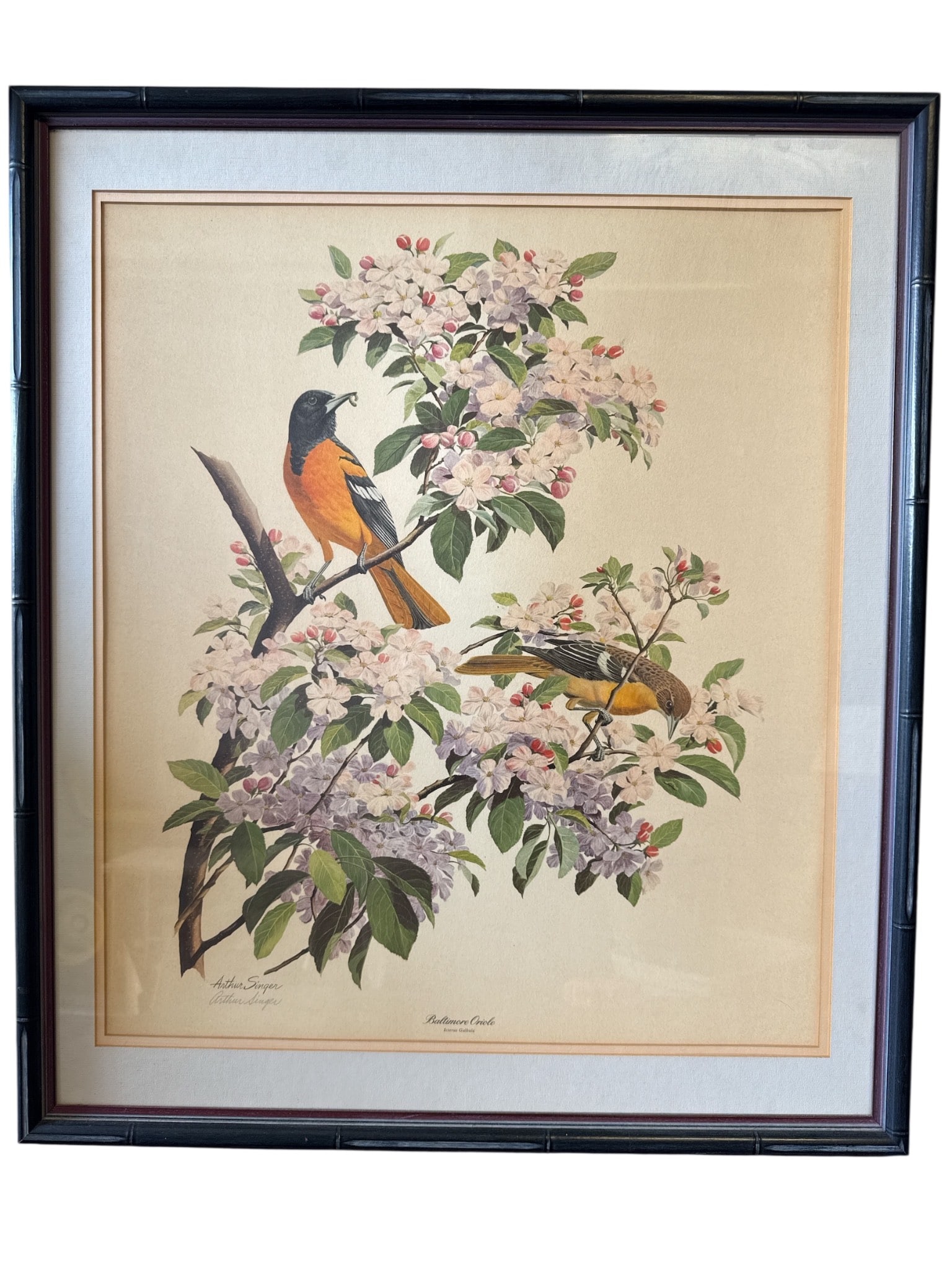 Arthur Singer Bird & Botanical Print
