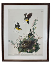 John James Audubon Framed Bird Print
