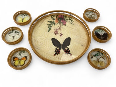 MCM Taxidermy Butterfly Tray & Coasters