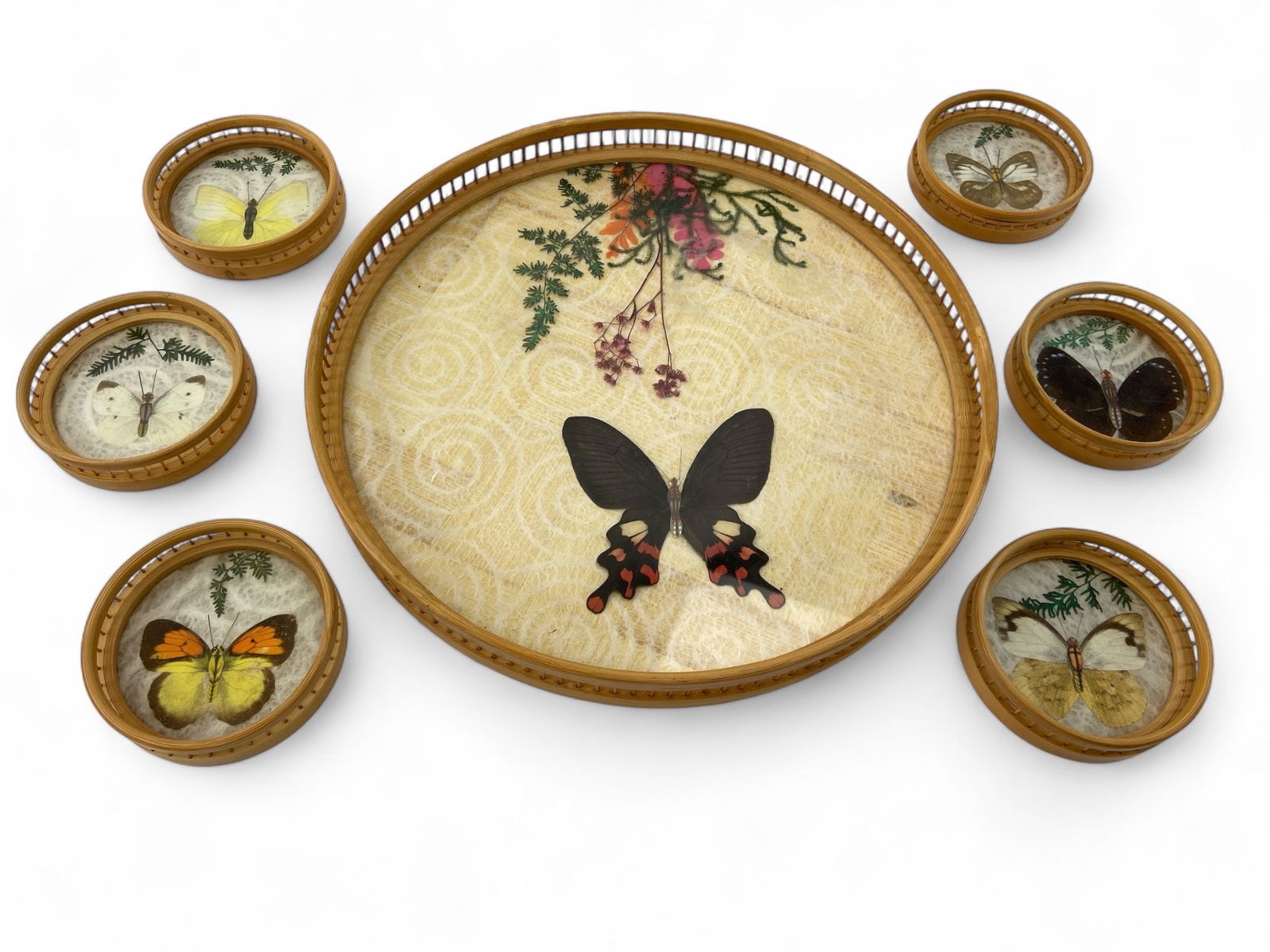 MCM Taxidermy Butterfly Tray & Coasters: Mid-century modern taxidermy butterfly tray & set of six matching coasters. Tray measures 11 1/8 x 1 1/4 inches. Each coaster measures 3 3/8 x 1 inch. Features real butterflies & foliage under clear p