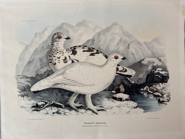 Daniel Giraud Elliot Willow Grouse Lithograph