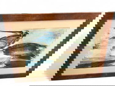 John James Audubon Brown Pelican Print