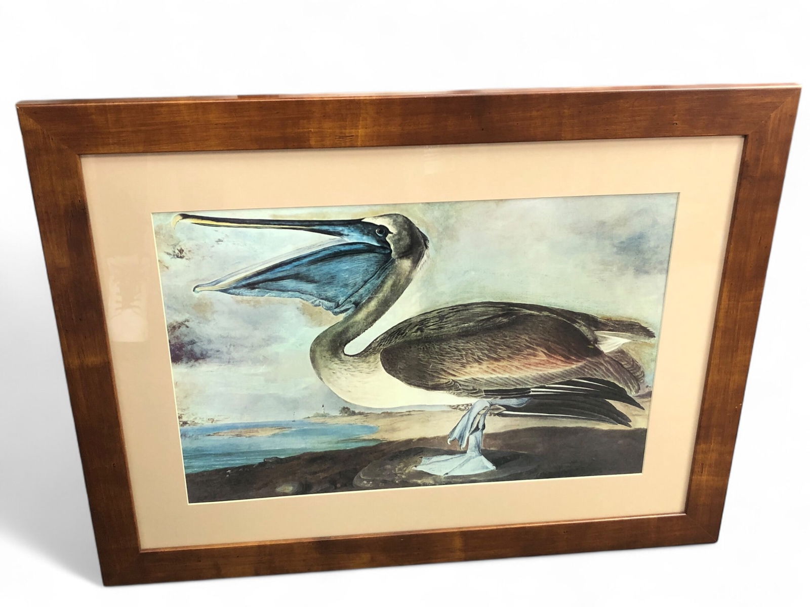 John James Audubon Brown Pelican Print (1 of 5)