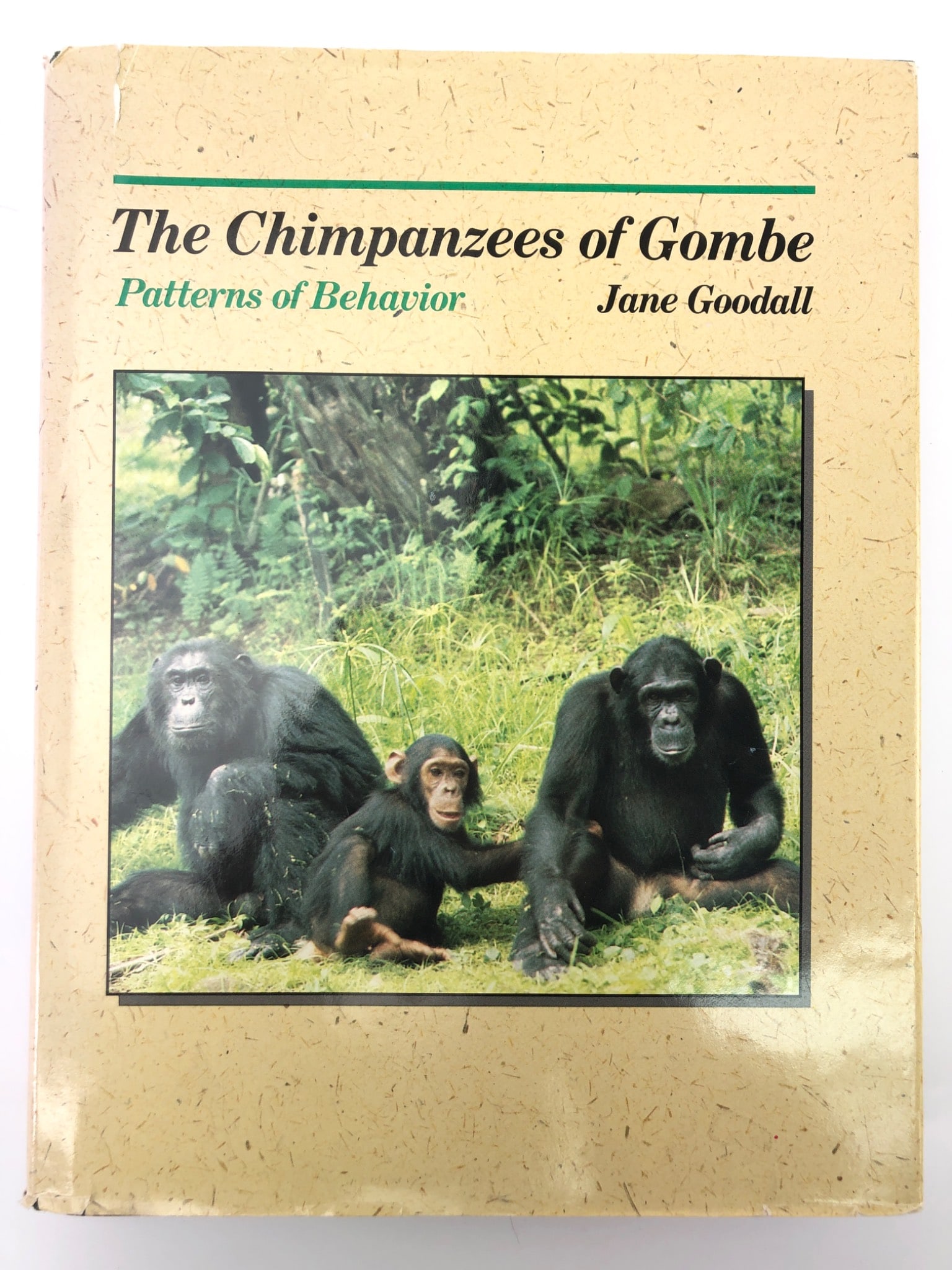 The Chimpanzees Of Gombe By Jane Goodall (1 of 14)