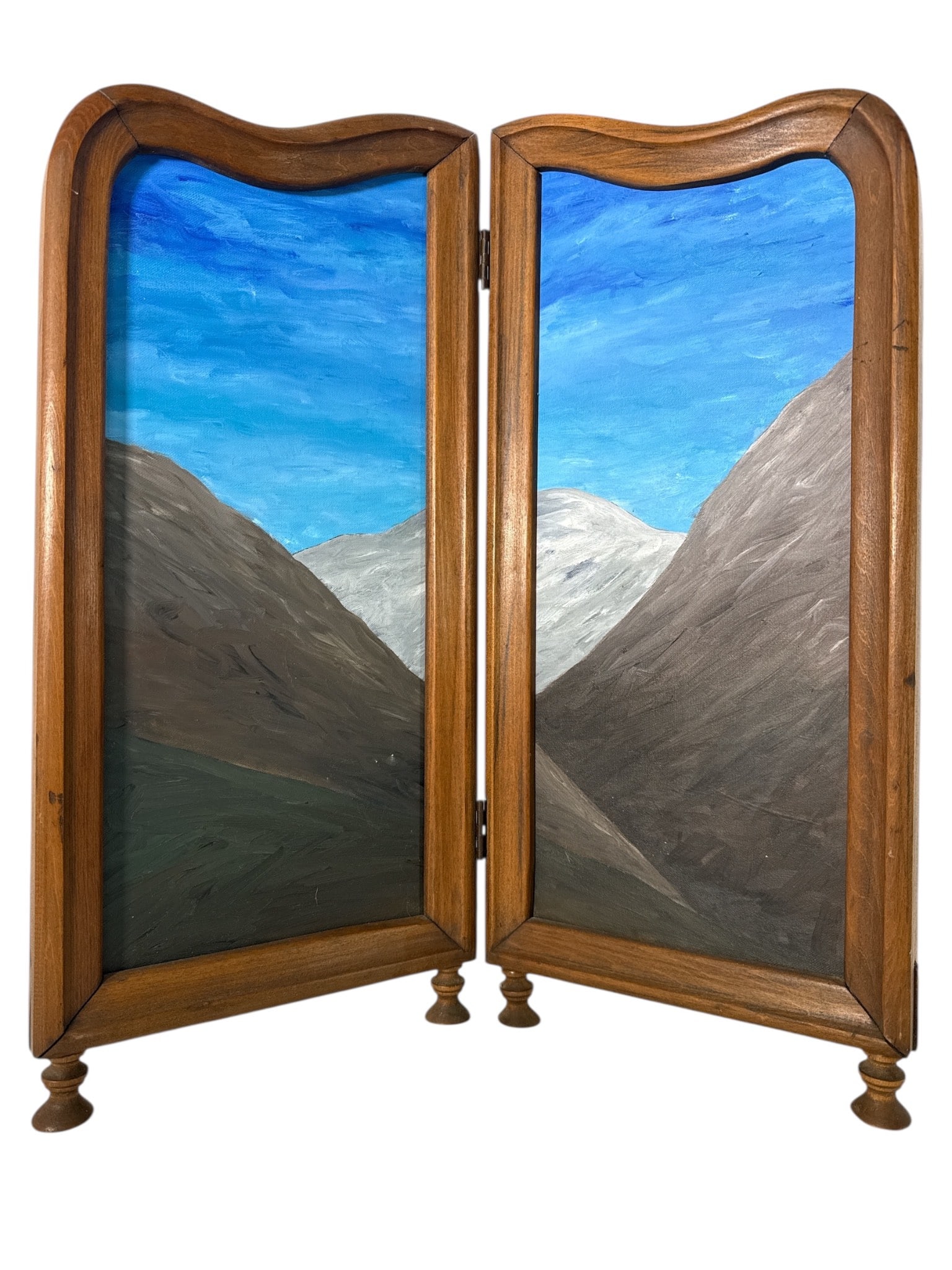 Maggie Citrin Acrylic Two-Panel Folding Screen (1 of 8)
