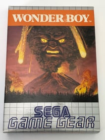 Wonder Boy Sega Game Gear Video Game
