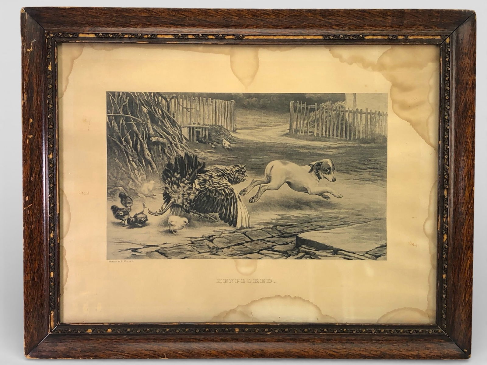 Henpecked Print By R. Morley In Wood Frame (1 of 7)