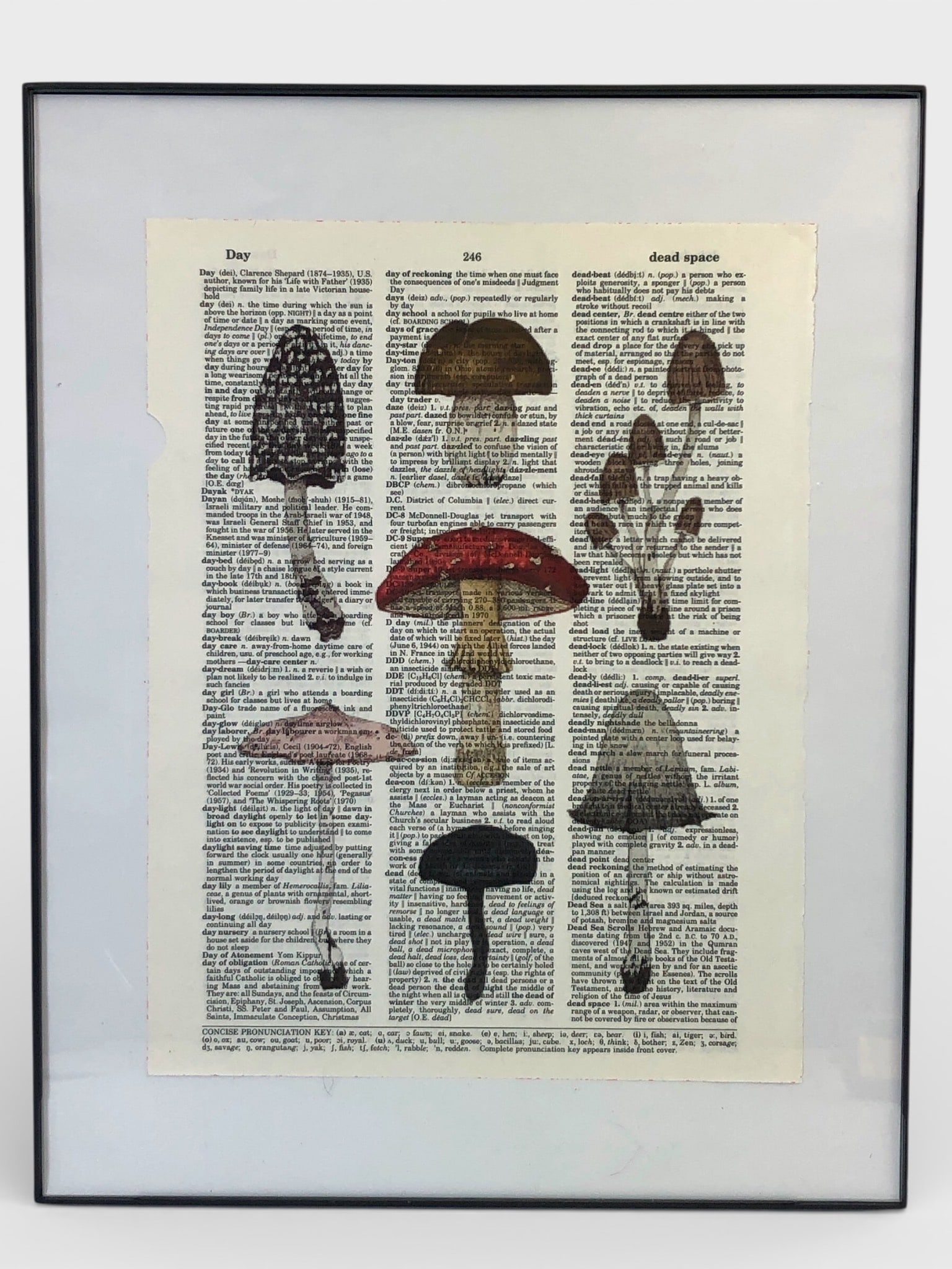 Framed Adolphe Millot Style Mushroom Print (1 of 5)