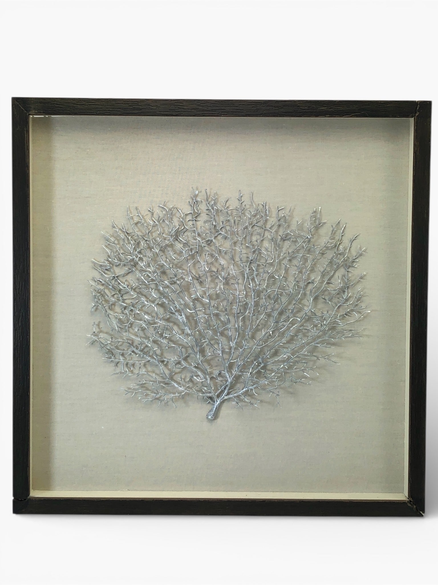 Silver Acrylic Sea Fan In Shadow Box: Silver acrylic sea fan design housed in a black wooden shadow box with a burlap-style backing. Outer frame size measures 17 3/4 x 17 3/4 inches. Visible damage includes cracks & wear on the wooden fra