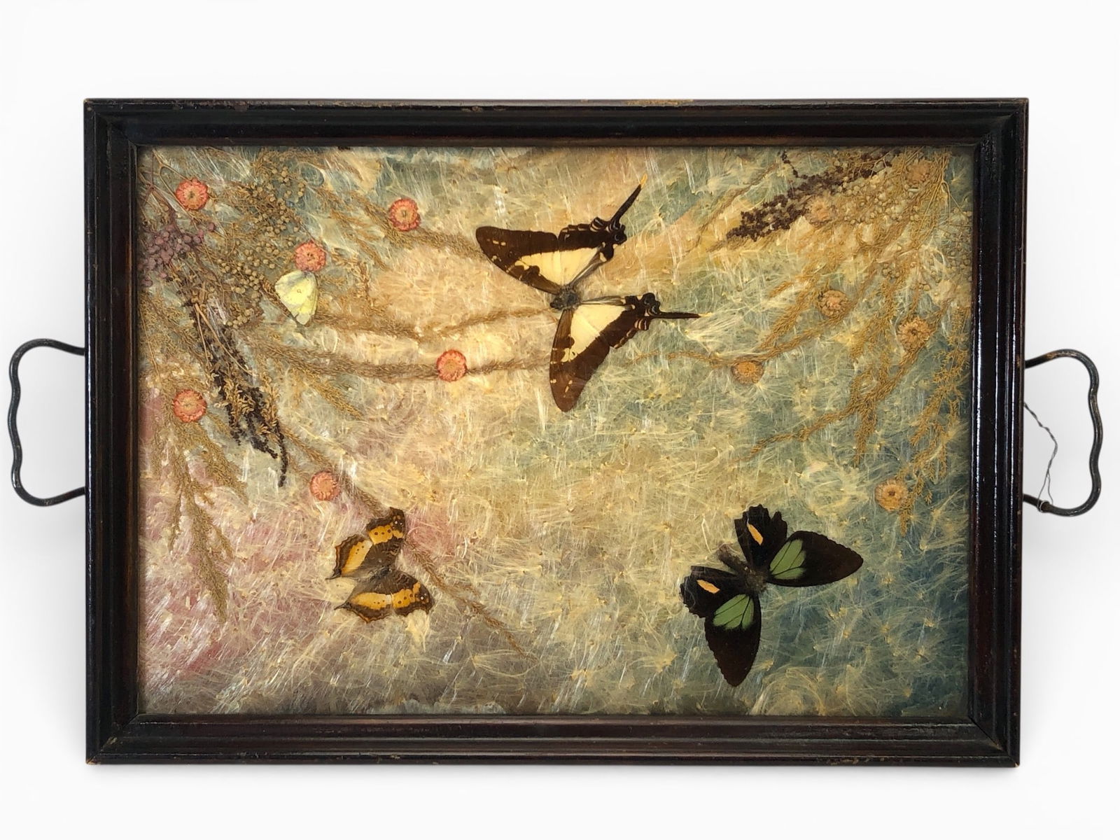 Vintage Wood Serving Tray W/ Preserved Butterflies (1 of 11)