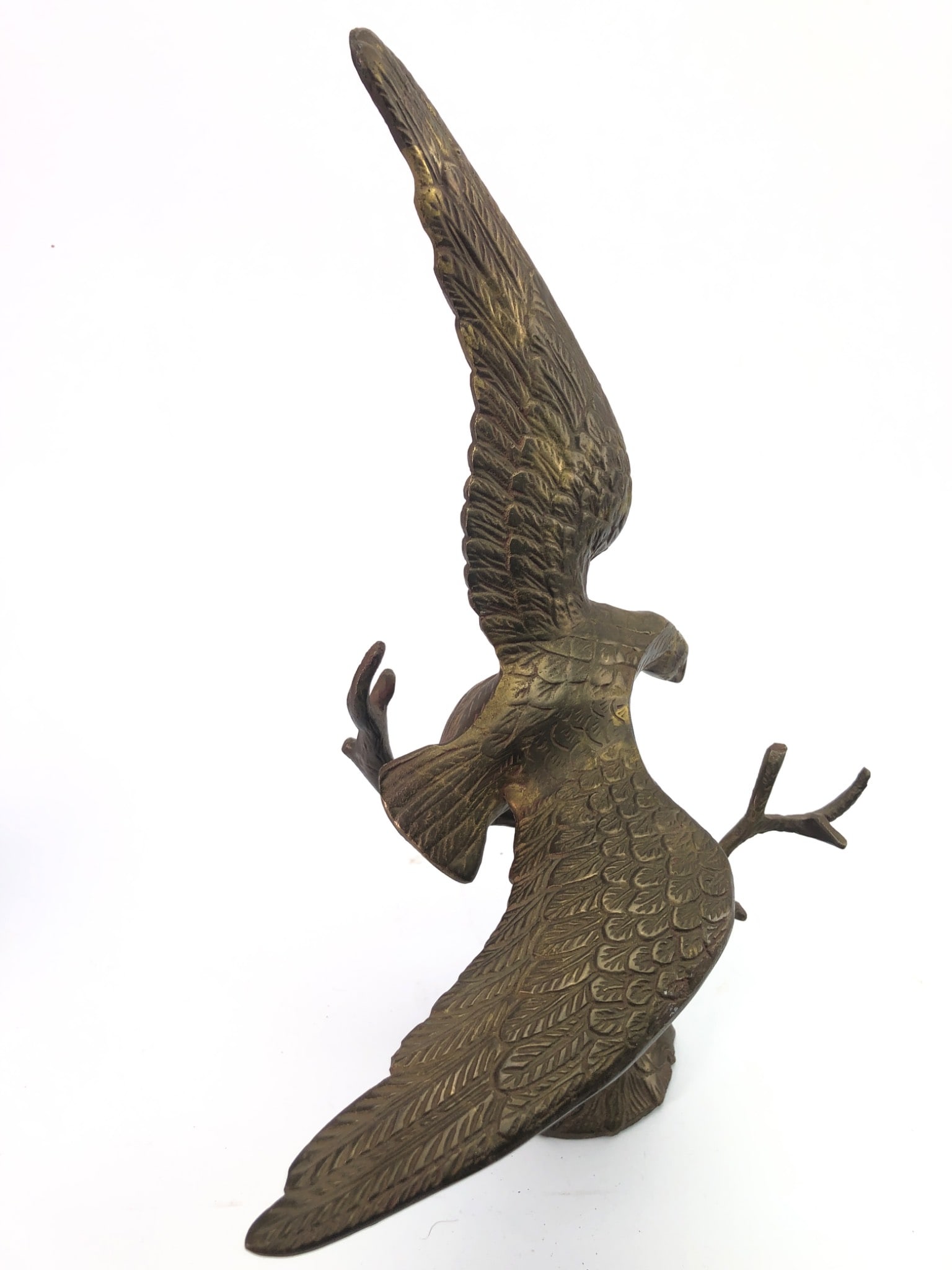 Brass Eagle On Tree 14 Tall - 5