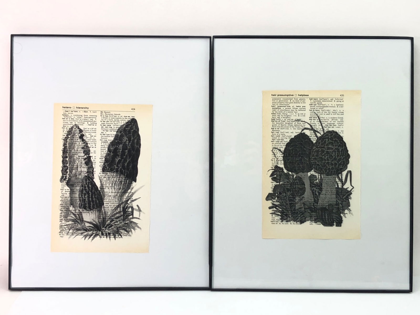 (2) B&W Mushroom Prints On Dictionary Pages (1 of 5)