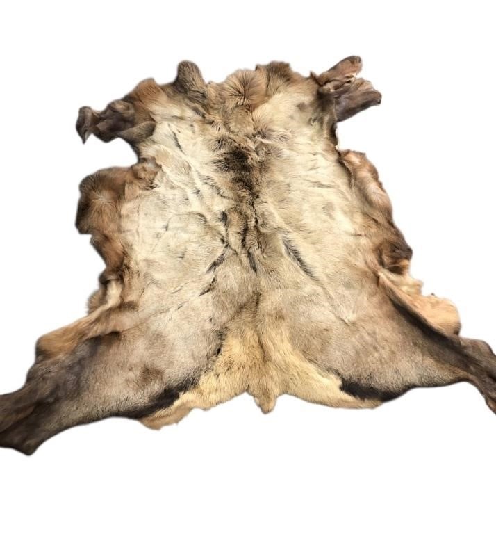 Approximately 56 X 46"Elk Hide (1 of 6)
