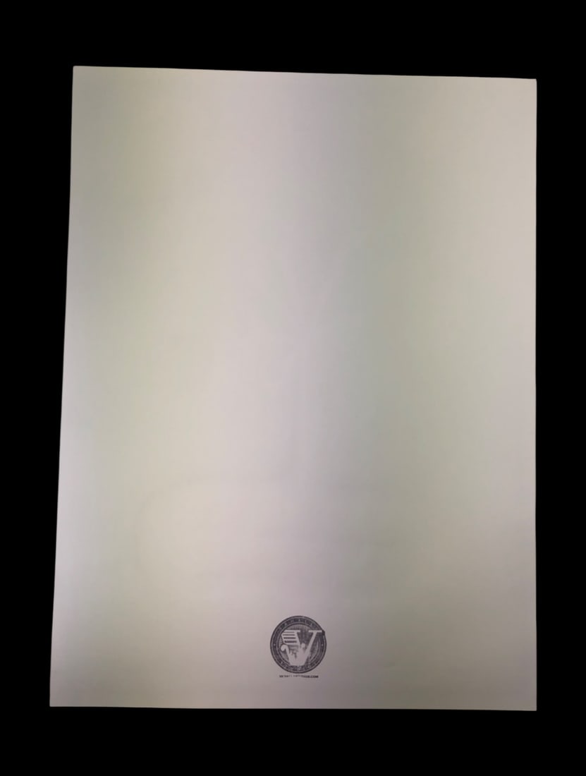 Dan Padavic Signed Modest Mouse Screen Print - 4