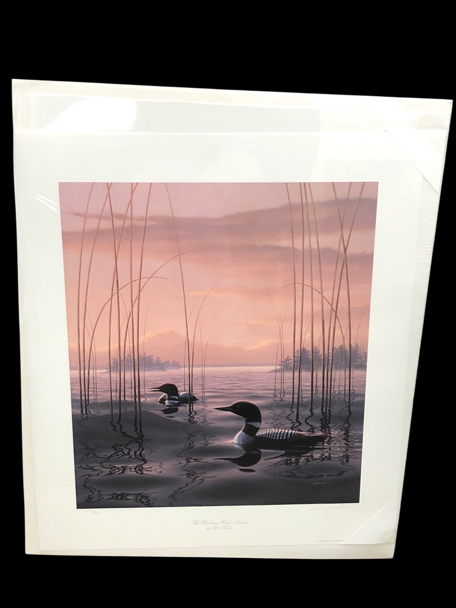 Phil Scholer "The Witching Hour—Loons" Signed Limited Edition Print: A limited edition offset lithograph titled "The Witching Hour—Loons" by artist Phil Scholer. This piece depicts two loons on a calm lake at sunset, surrounded by tall reeds. It is pencil-signed by t