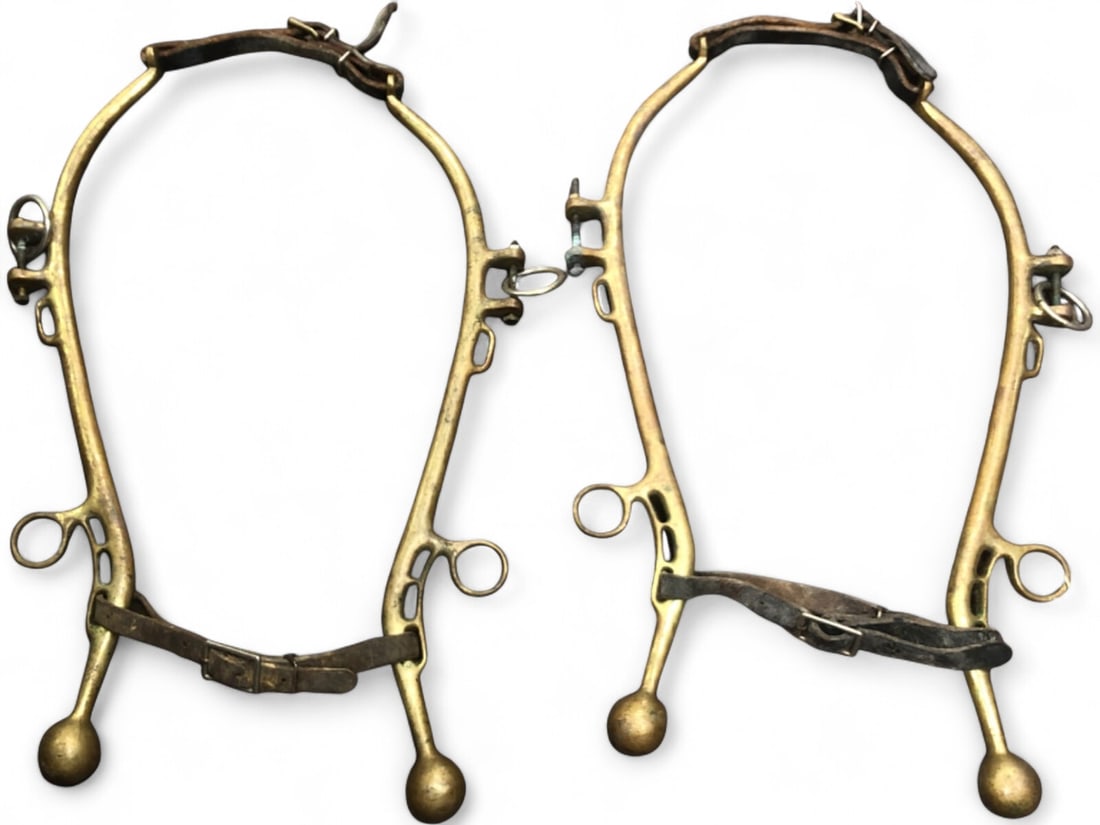 Pr. Brass Horse Hames with Leather Straps: Pair of brass horse hames featuring 21 inch poles. The set includes original leather straps with metal buckles and integrated metal rings. Unmarked. Shows surface wear, oxidation to the brass, and hea