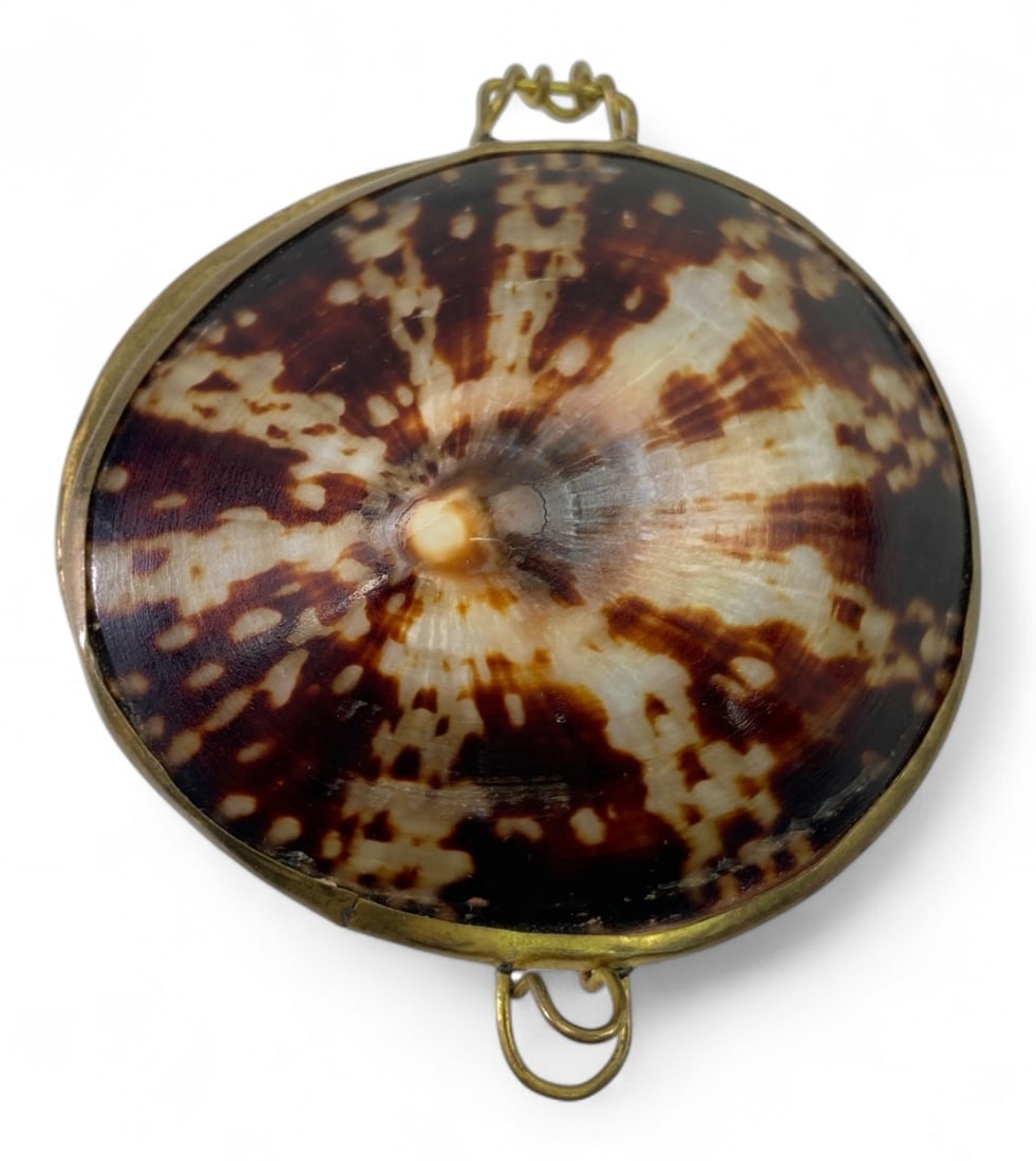 Victorian Style Brass-Mounted Cowrie Shell Snuff Box (1 of 6)