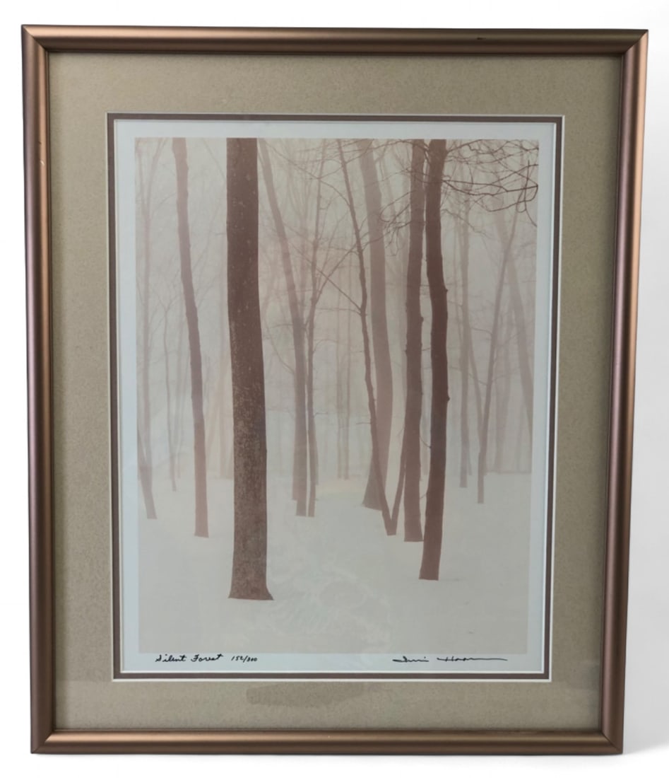 James Hagen Silent Forest Signed and Numbered Print: Framed print titled "Silent Forest" by artist James Hagen. This limited edition artwork is numbered 152/300 and features the artist's signature. Measures 14 3/4" x 17 3/4". Housed in a metallic-toned
